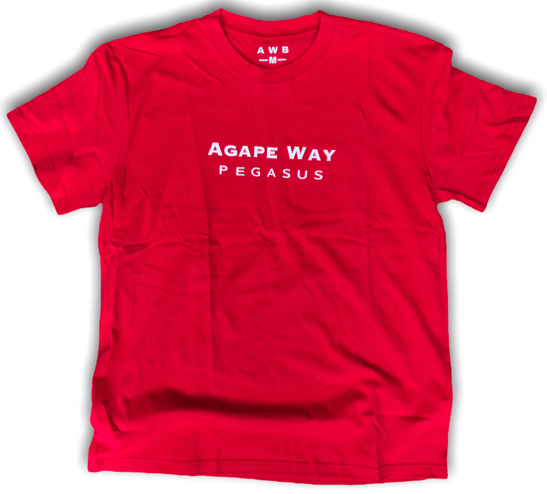 Pegasus Wings T-Shirt "Rose Red"