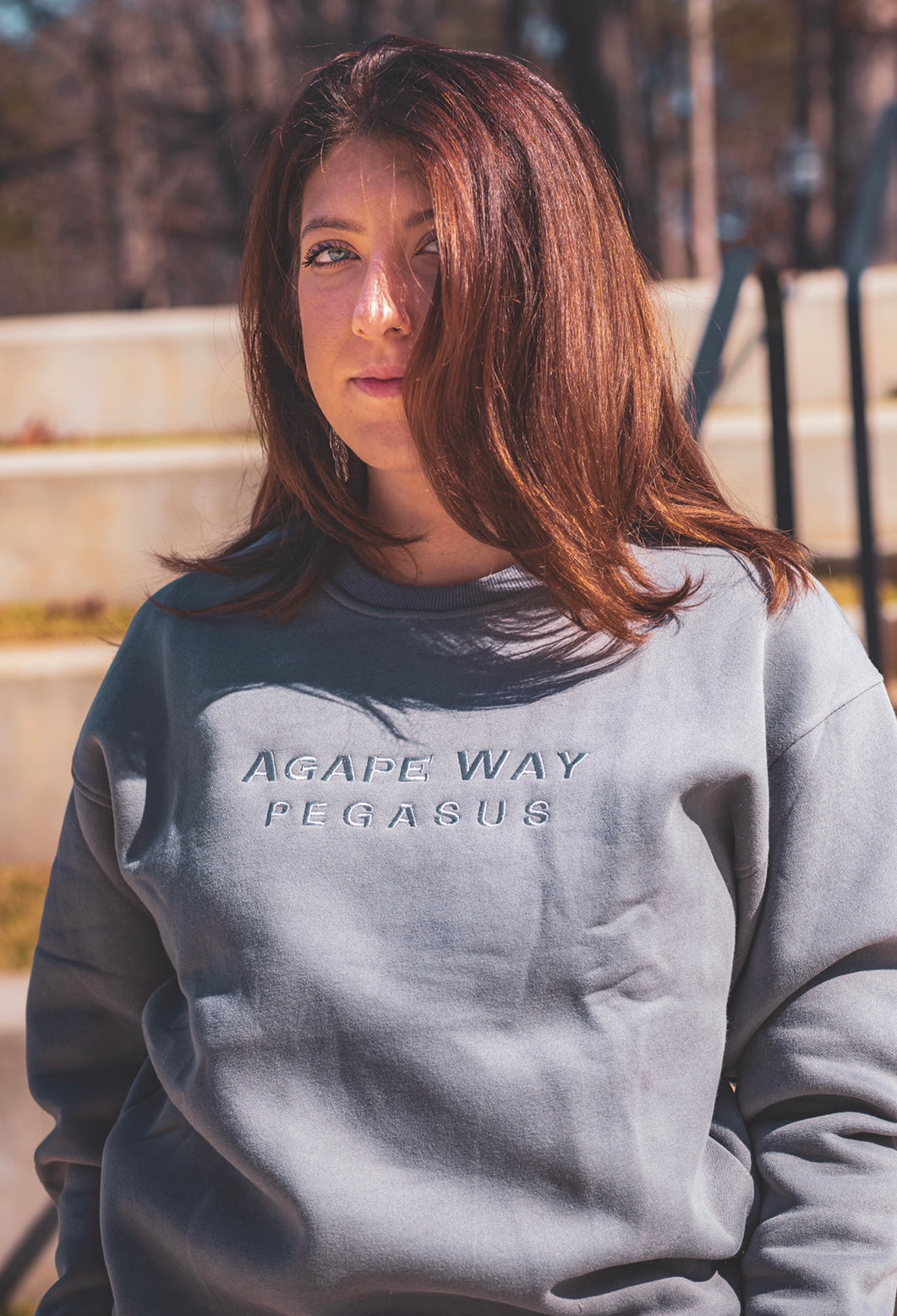 AW Crew “Middle Grey”