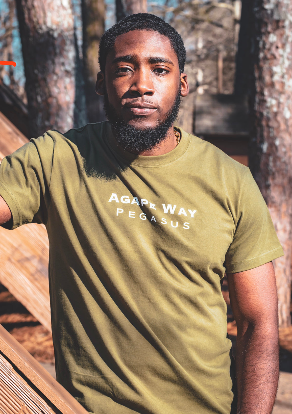 Pegasus Wings T-Shirt “Olive”